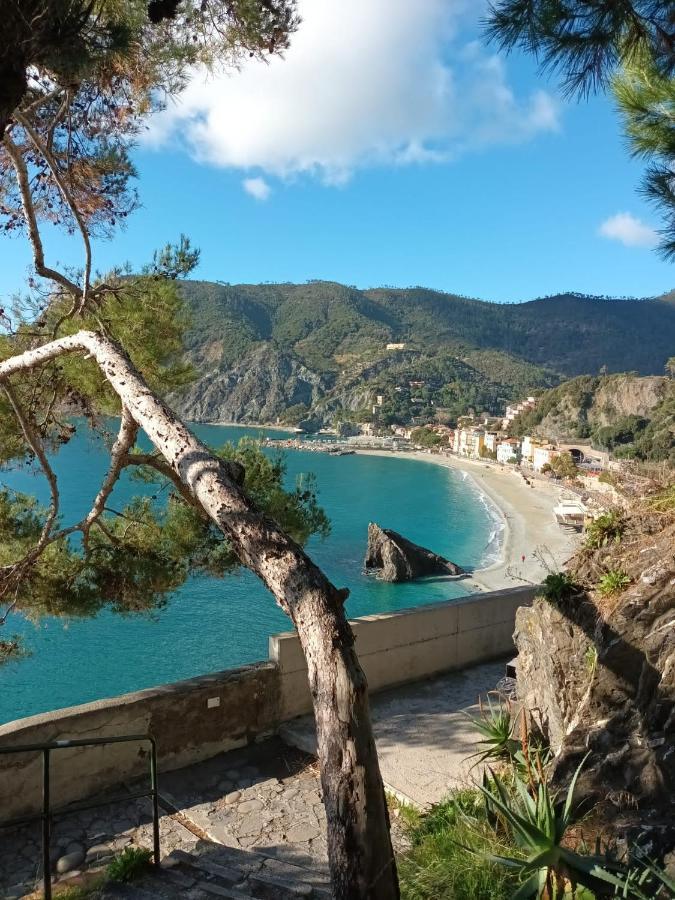 Casa Acciughina Apartment Monterosso al Mare Exterior photo